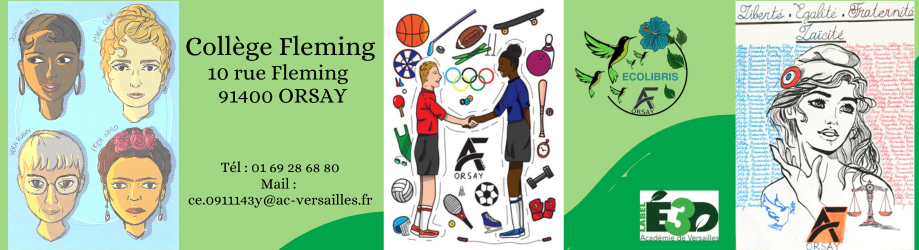 Collège Alexander Fleming Collège Alexander Fleming